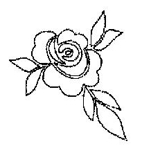 Rose #2